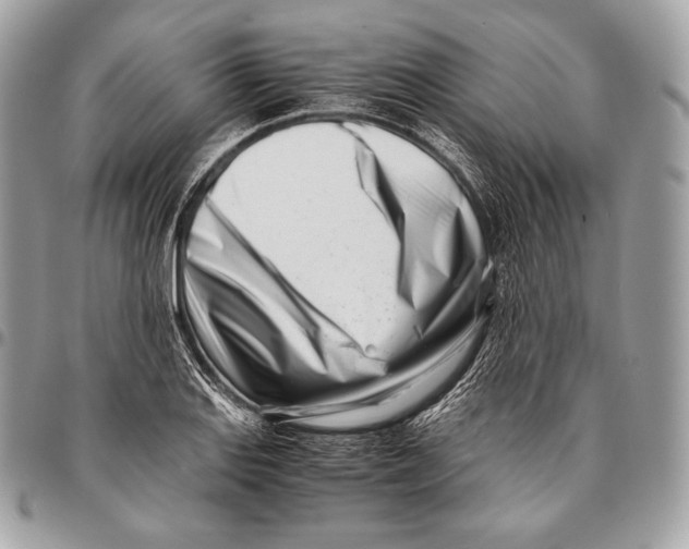 X0000096141127200802081342