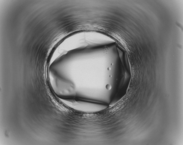 X0000096141128200802081342