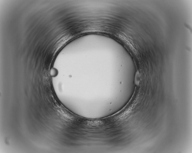 X0000096141129200802081342