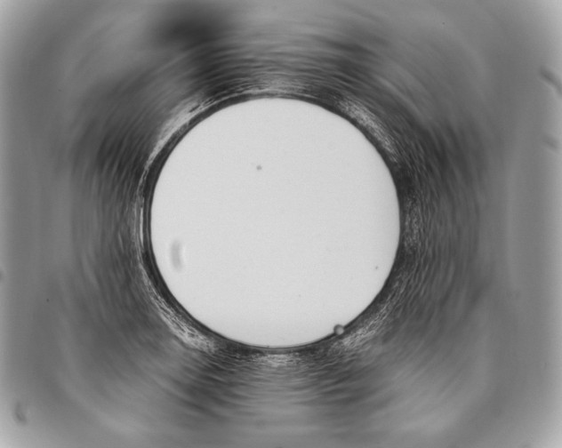 X0000096141130200802081342