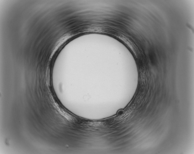 X0000096141131200802081342