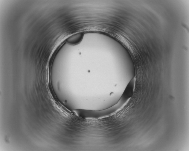 X0000096141132200802081342