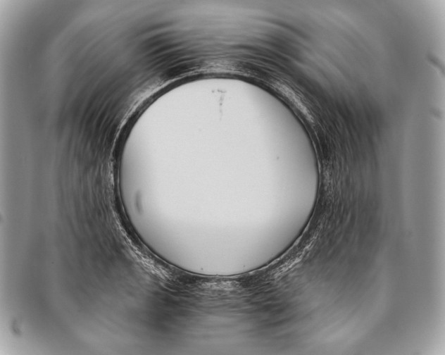 X0000096141133200802081342