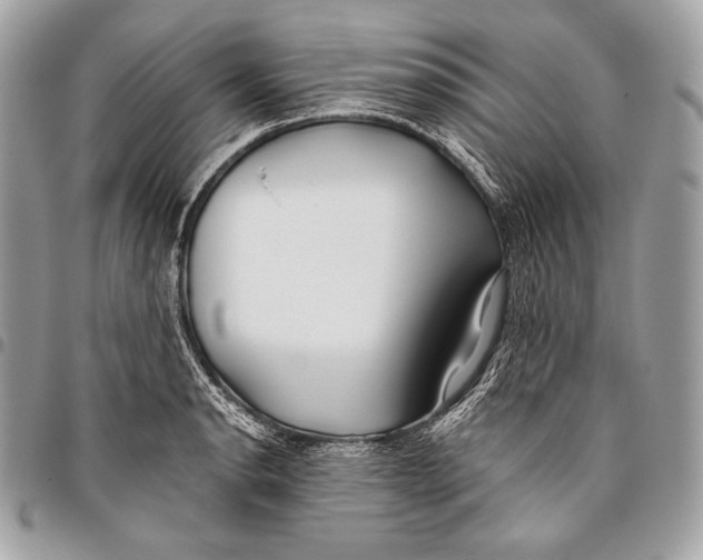 X0000096141134200802081342