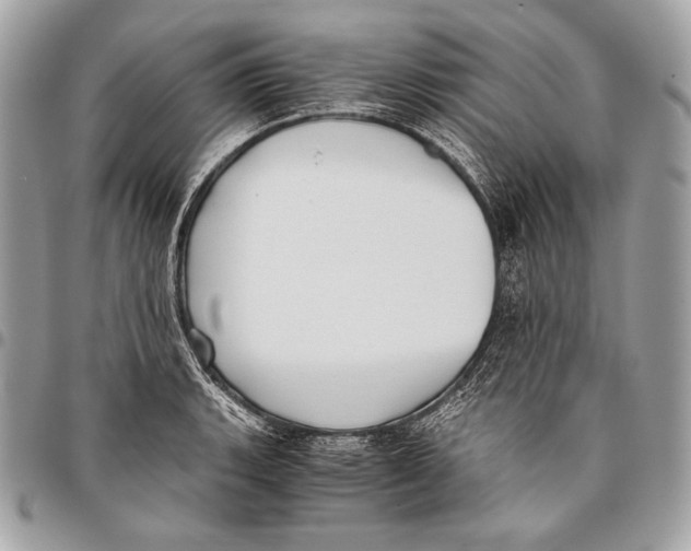 X0000096141135200802081342