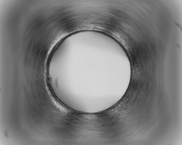 X0000096141136200802081342