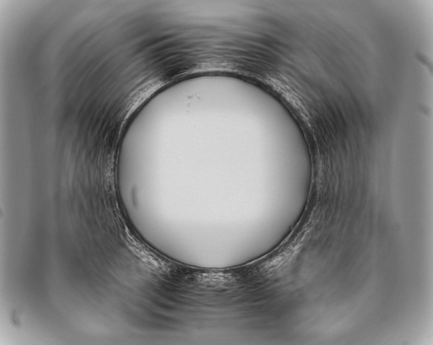 X0000096141137200802081342