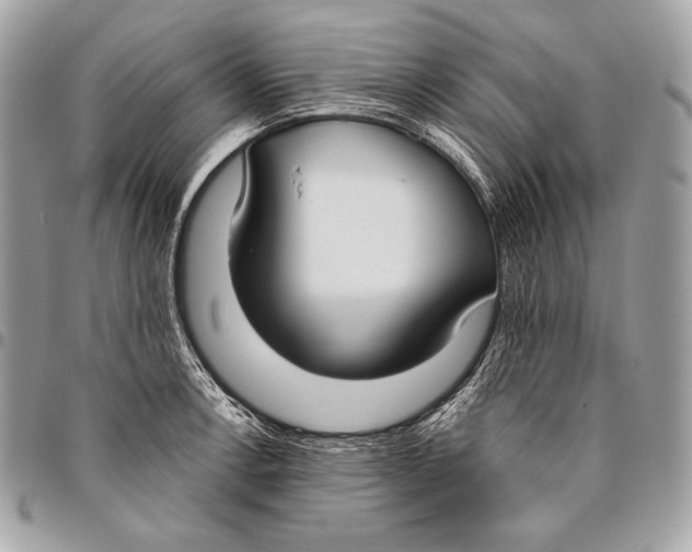 X0000096141138200802081342