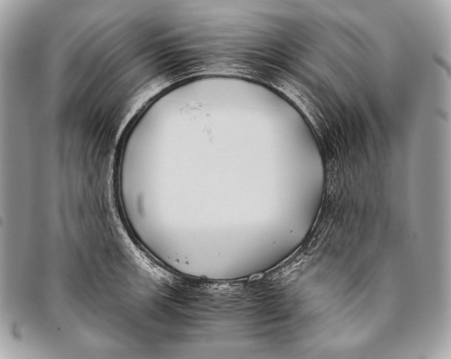 X0000096141139200802081342
