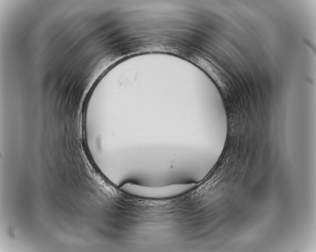 X0000096141140200802081342