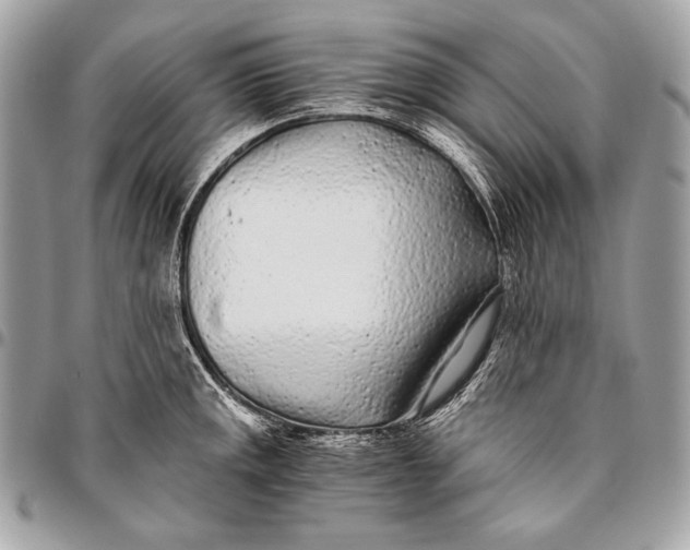 X0000096141141200802081342