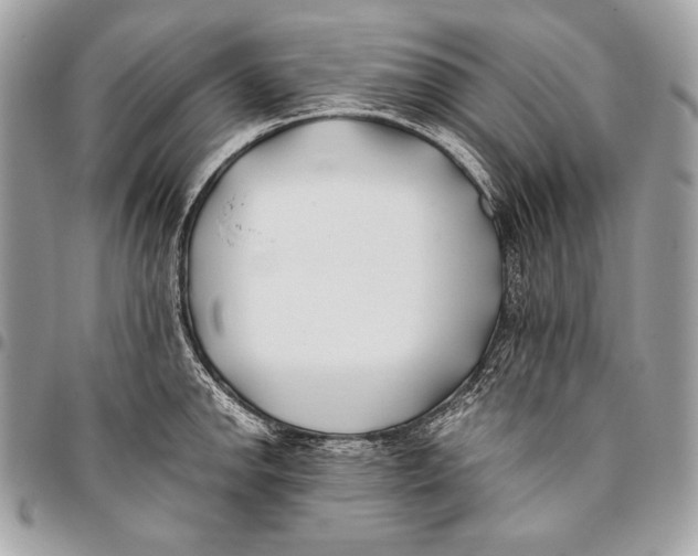 X0000096141142200802081342