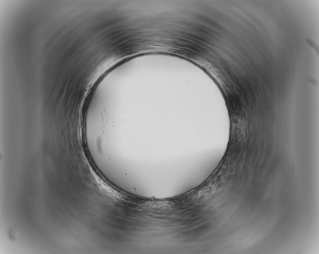 X0000096141143200802081342