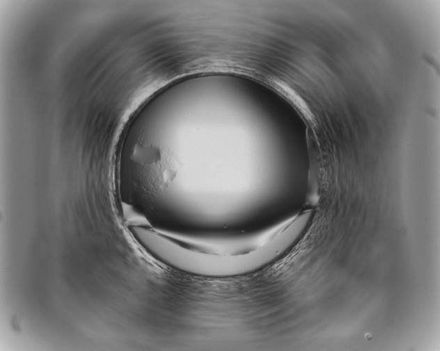X0000096141144200802081342