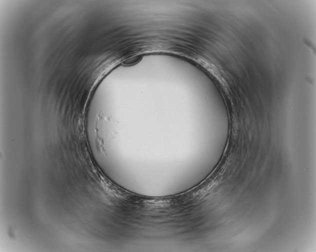 X0000096141145200802081342