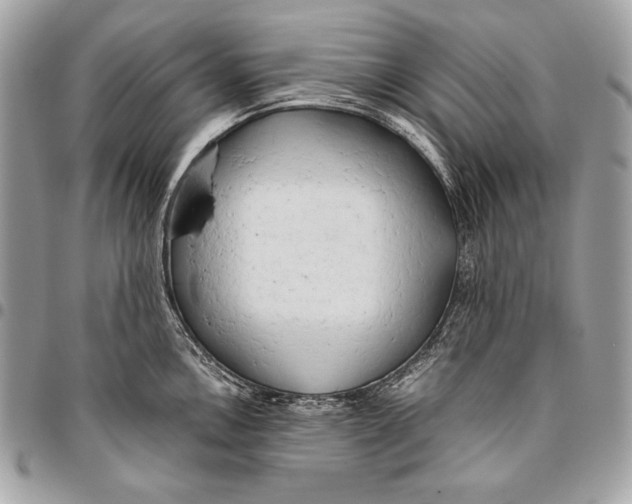 X0000096141146200802081342