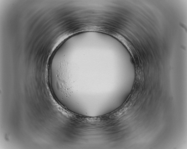 X0000096141147200802081342
