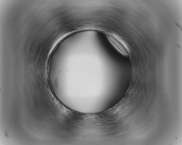 X0000096141148200802081342