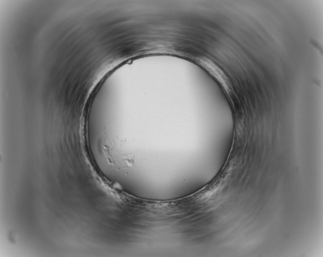 X0000096141149200802081342