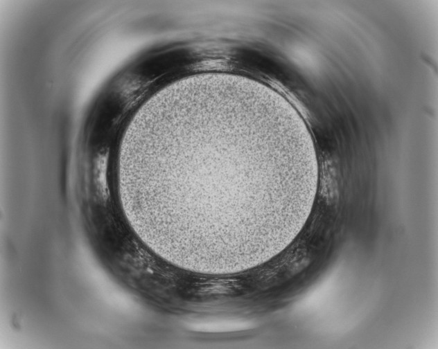 X0000096141150200802081342
