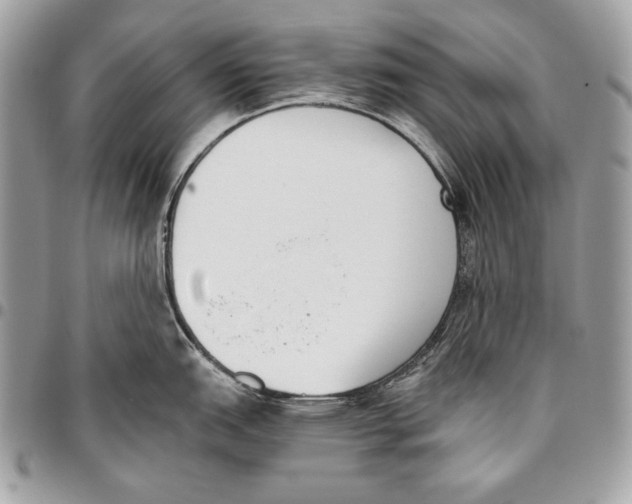X0000096141151200802081342