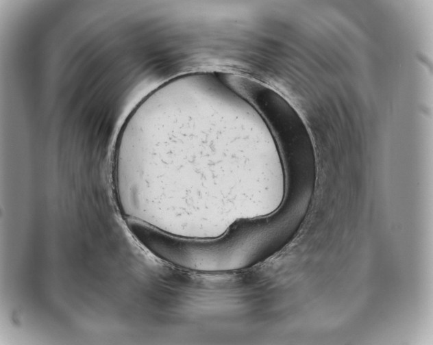 X0000096141152200802081342