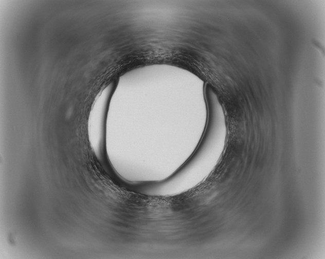 X0000096141153200802081342