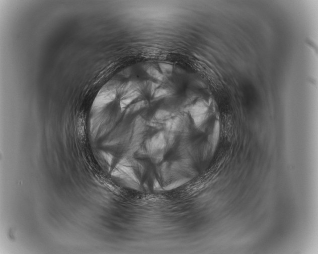 X0000096141154200802081342