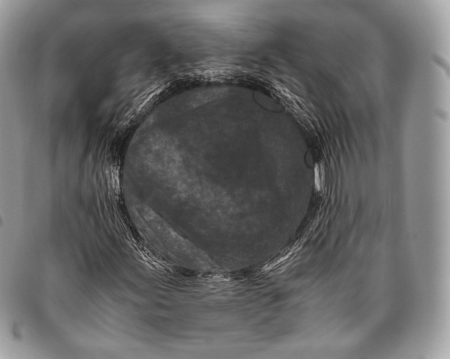 X0000096141155200802081342
