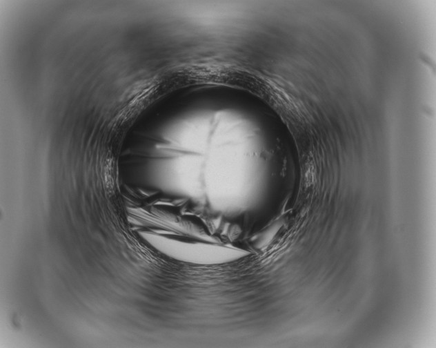 X0000096141156200802081342