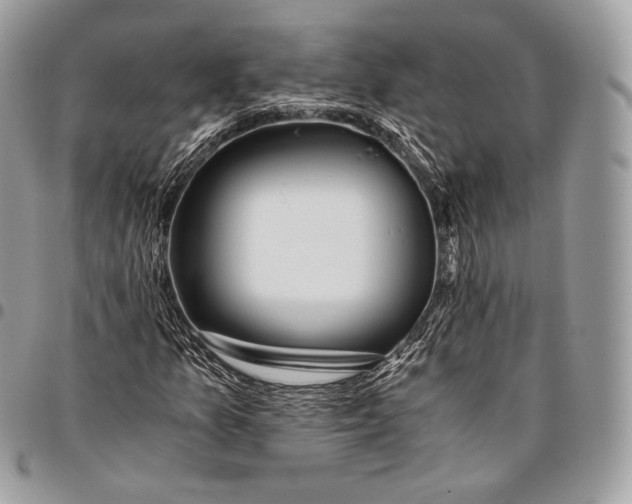 X0000096141157200802081342
