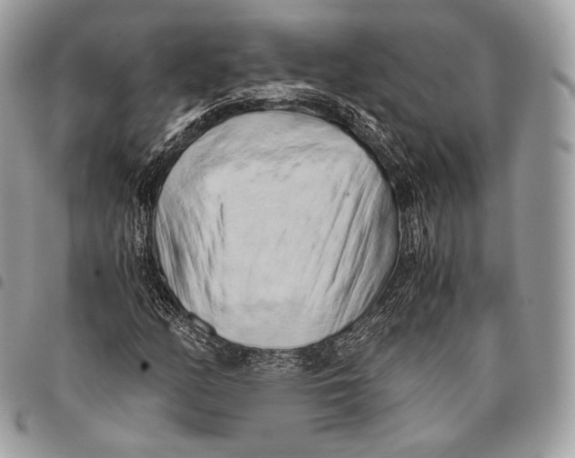 X0000096141158200802081342