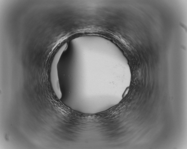 X0000096141160200802081342