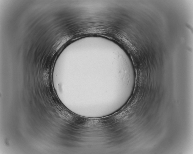 X0000096141162200802081342