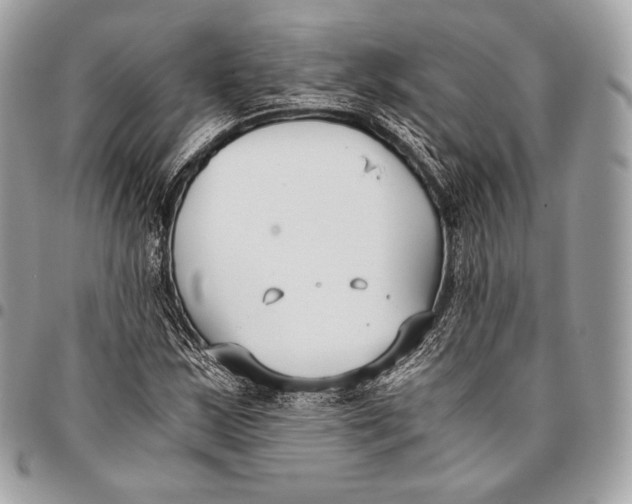 X0000096141163200802081342