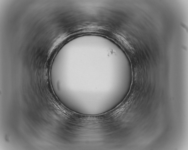 X0000096141164200802081342