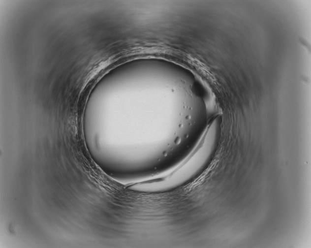 X0000096141165200802081342