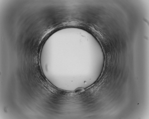 X0000096141166200802081342