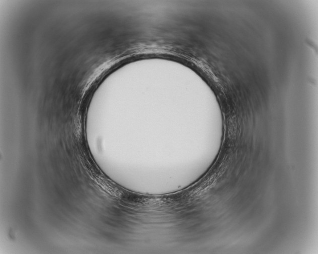 X0000096141167200802081342