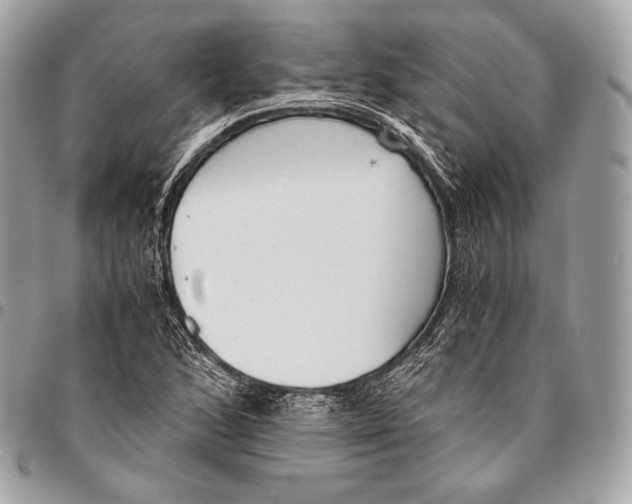 X0000096141168200802081342