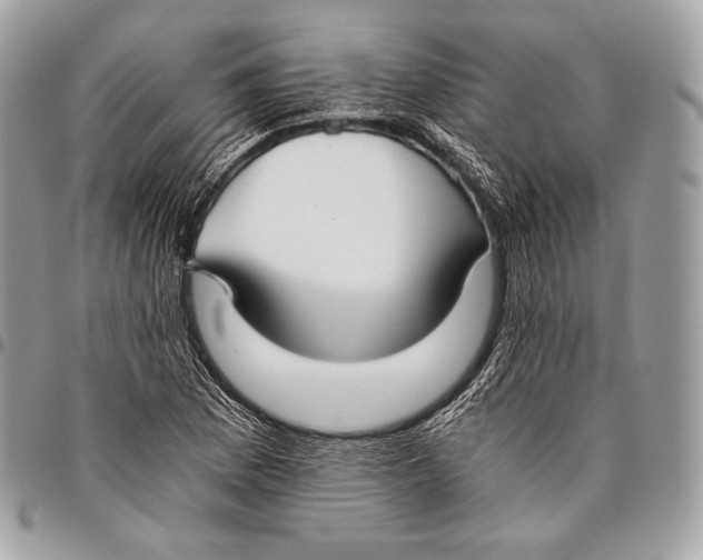 X0000096141169200802081342