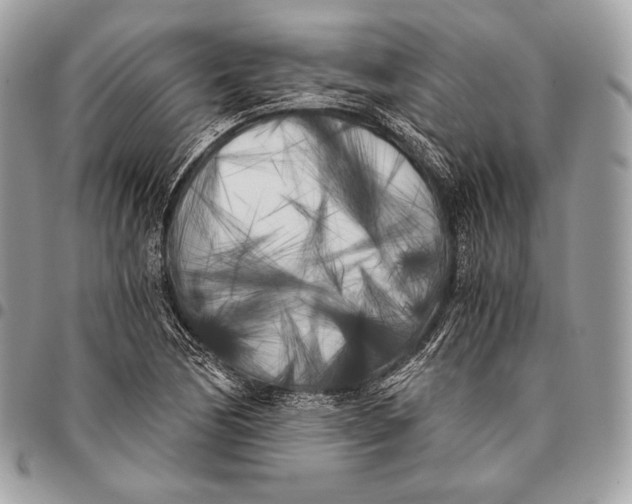 X0000096141170200802081342