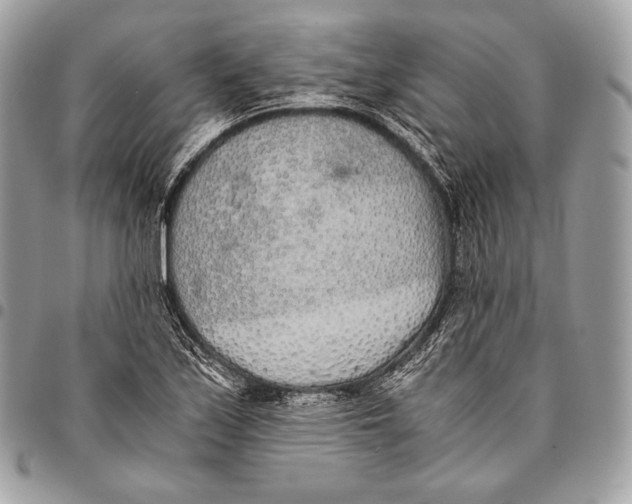 X0000096141171200802081342