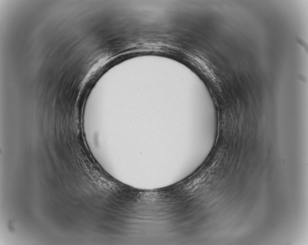 X0000096141172200802081342