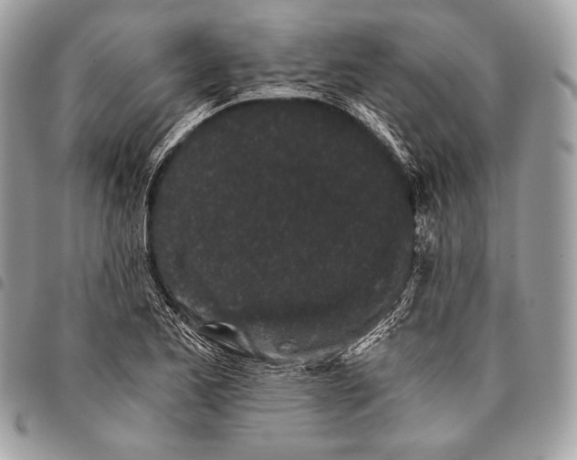 X0000096141173200802081342