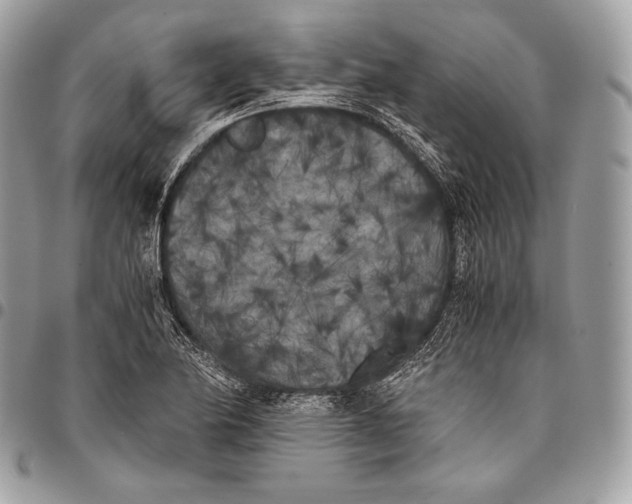 X0000096141174200802081341