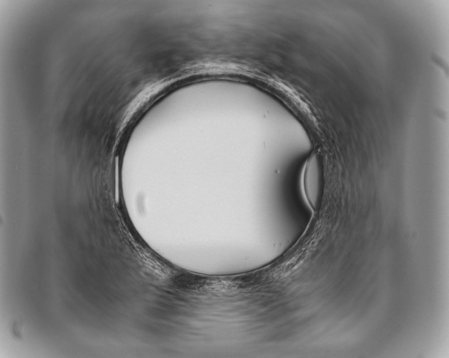 X0000096141175200802081341