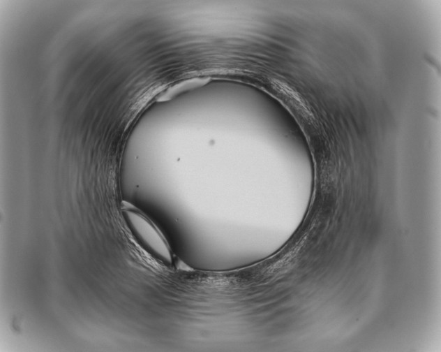 X0000096141177200802081341