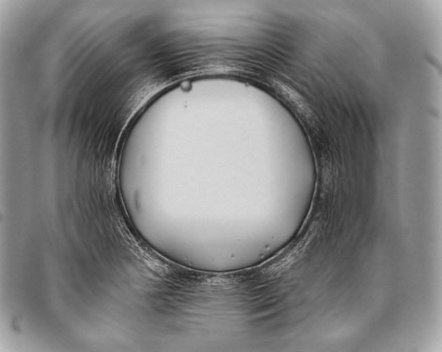 X0000096141178200802081341