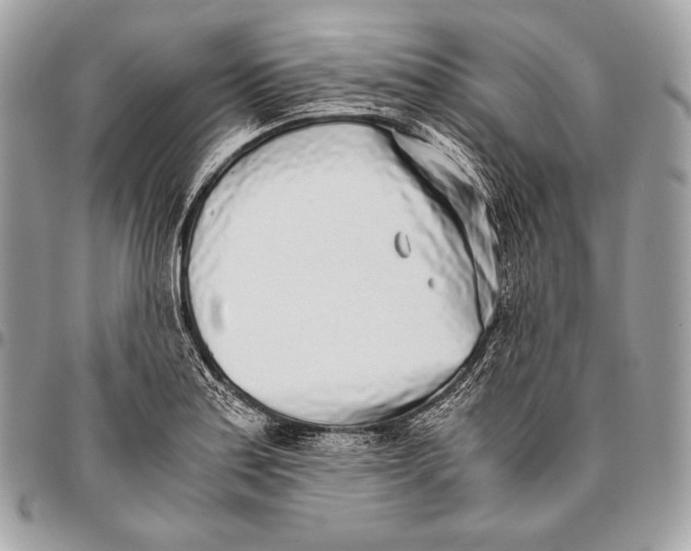 X0000096141179200802081341